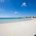 Claudia Bay * 托雷拉皮罗