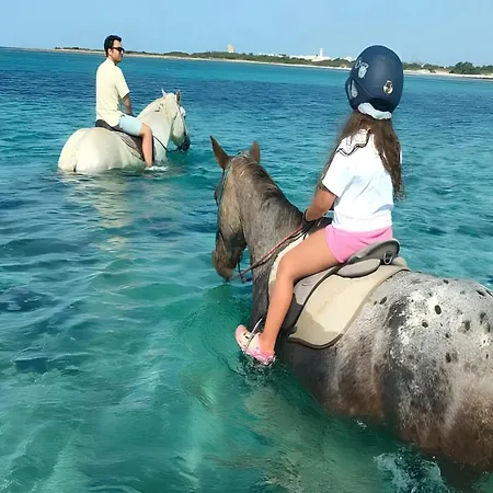 Claudia Bay Tatil Evi Torre Lapillo